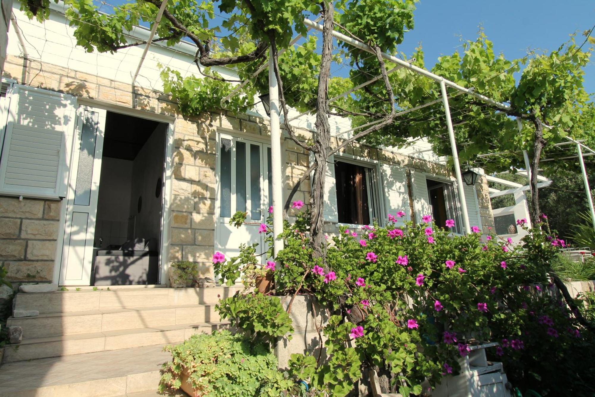 Apartments Cervelin Lopud المظهر الخارجي الصورة