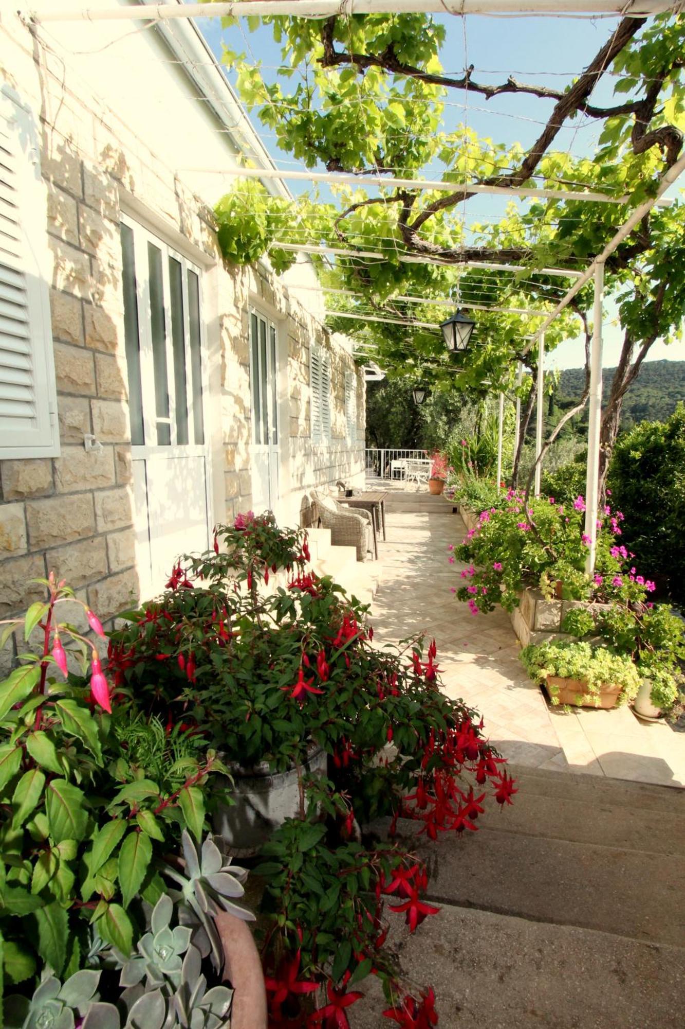 Apartments Cervelin Lopud المظهر الخارجي الصورة